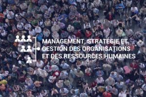 Management-Stratégie-et-Gestion-des-Organisations-et-des-Ressources-Humaines-300x225